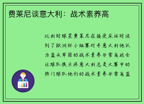 费莱尼谈意大利：战术素养高